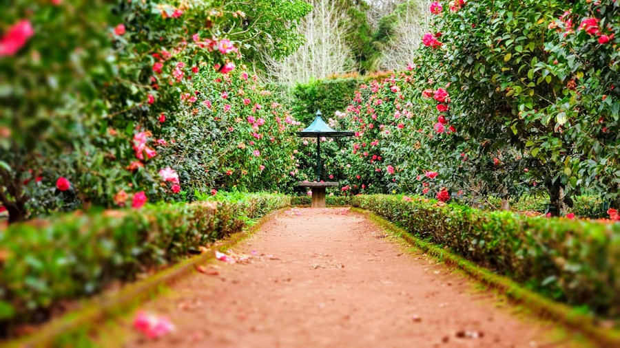 Huerta y jardines de nogales y romero